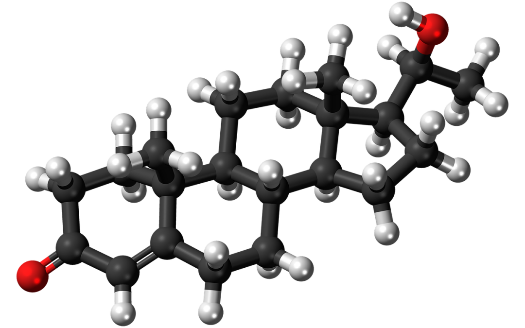 Pourquoi les stéroïdes anabolisants sont dangereux et comment les remplacer naturellement