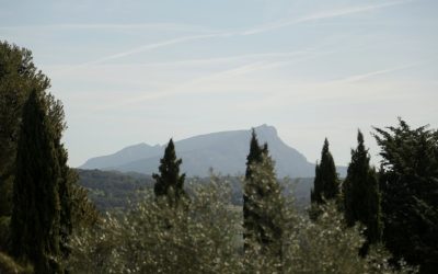 Micronutrition sportive à Aix-en-Provence : Optimisez vos performances