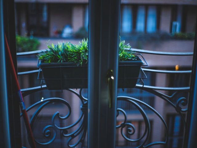 Outils indispensables pour jardiner sur un petit balcon