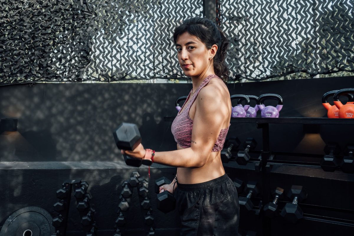 Muscler vos bras : Guide pratique d&rsquo;entraînement